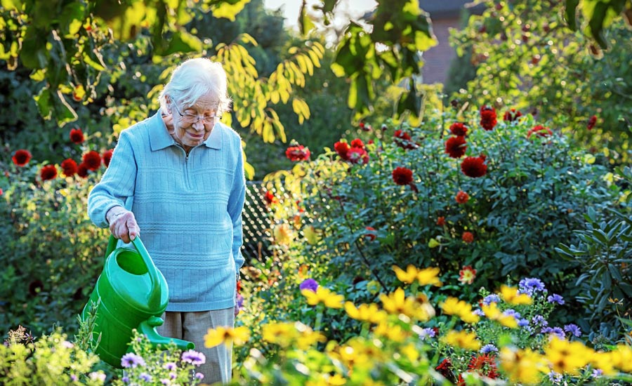 What Is Specialist Dementia Care